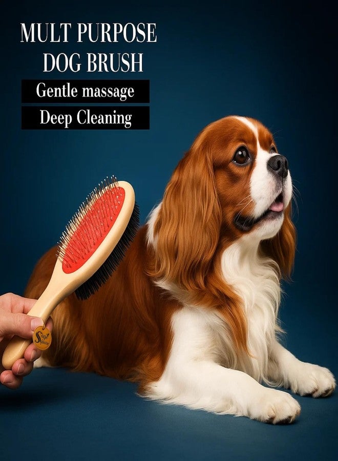 سايج سكوير فرشاة تنظيف الحيوانات الأليفة الخشبية ذات الوجهين من سيج سكوير للكلاب والقطط | جانب واحد بشعيرات معدنية لفك التشابك وإزالة الشعر المتساقط | الجانب الآخر بشعيرات نايلون ناعمة لإضفاء اللمعان ولمسة نهائية خشبية | صغير 18 سم (النوع 3) - Image 5